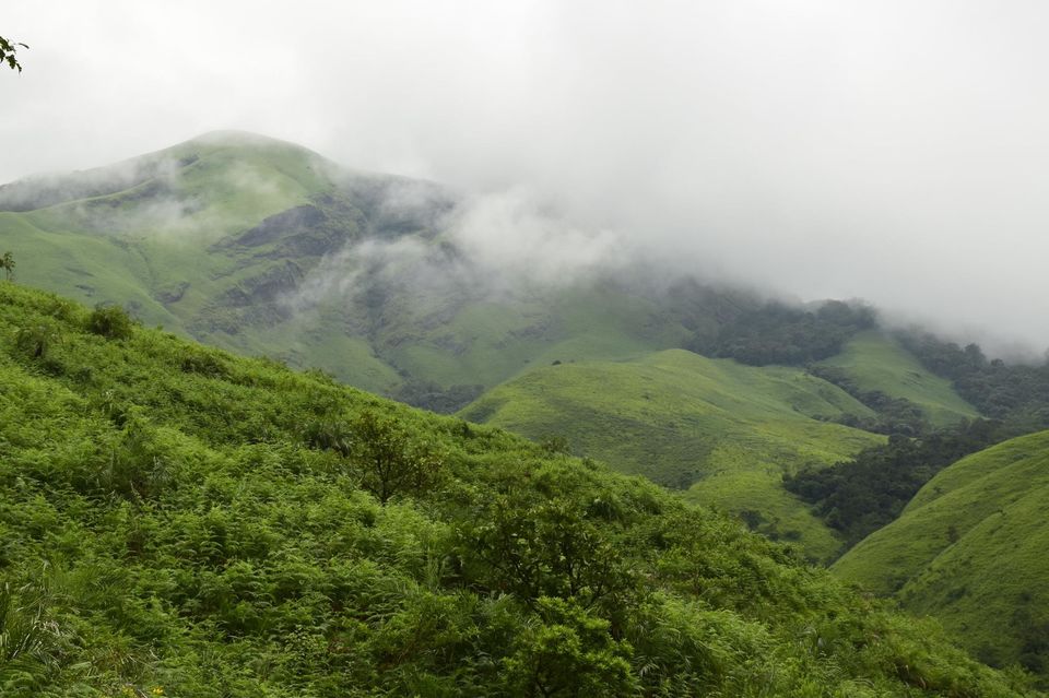 Photo of Trek to KudreMukh Peak 25/69 by Manju Nath