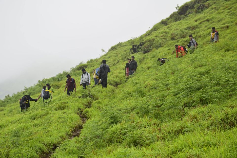 Photo of Trek to KudreMukh Peak 59/69 by Manju Nath