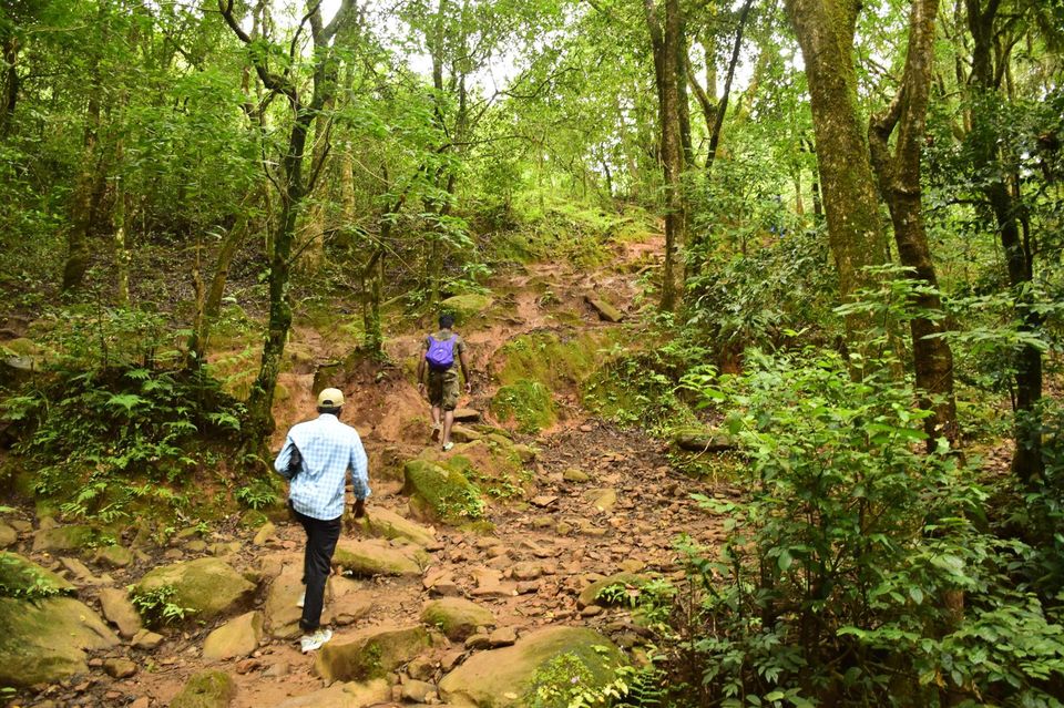 Photo of Trek to KudreMukh Peak 20/69 by Manju Nath