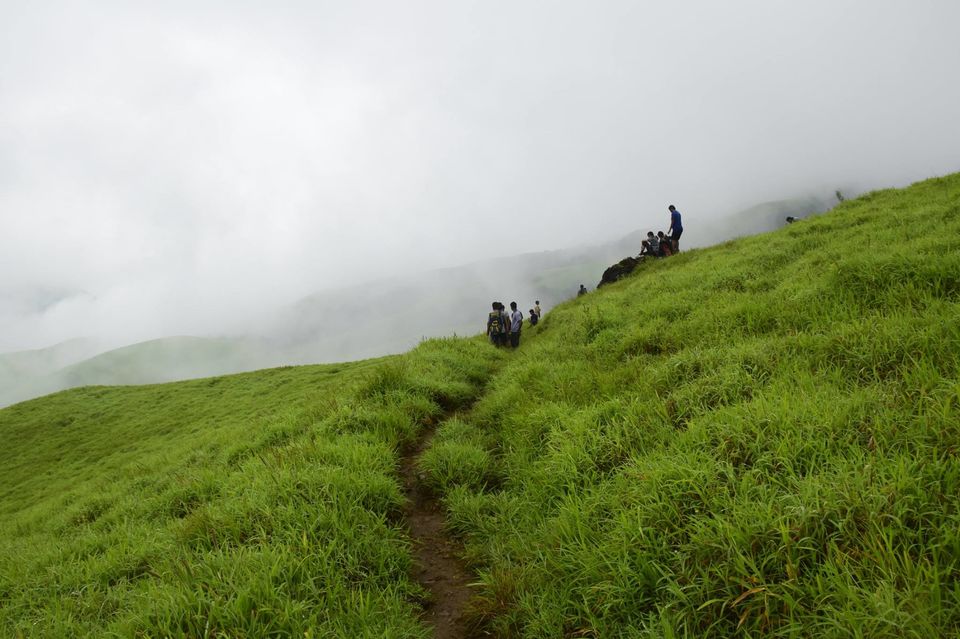 Photo of Trek to KudreMukh Peak 57/69 by Manju Nath
