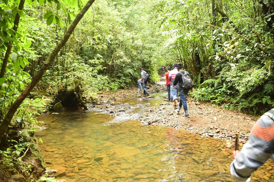 Photo of Trek to KudreMukh Peak 46/69 by Manju Nath