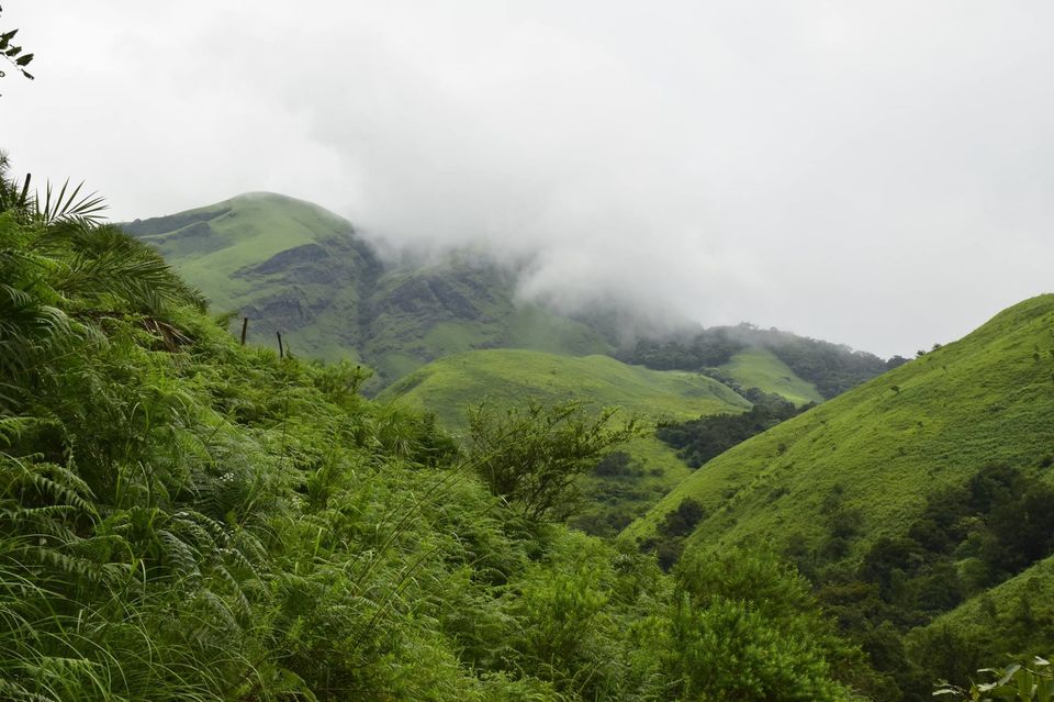 Photo of Trek to KudreMukh Peak 32/69 by Manju Nath