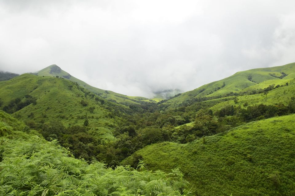 Photo of Trek to KudreMukh Peak 28/69 by Manju Nath