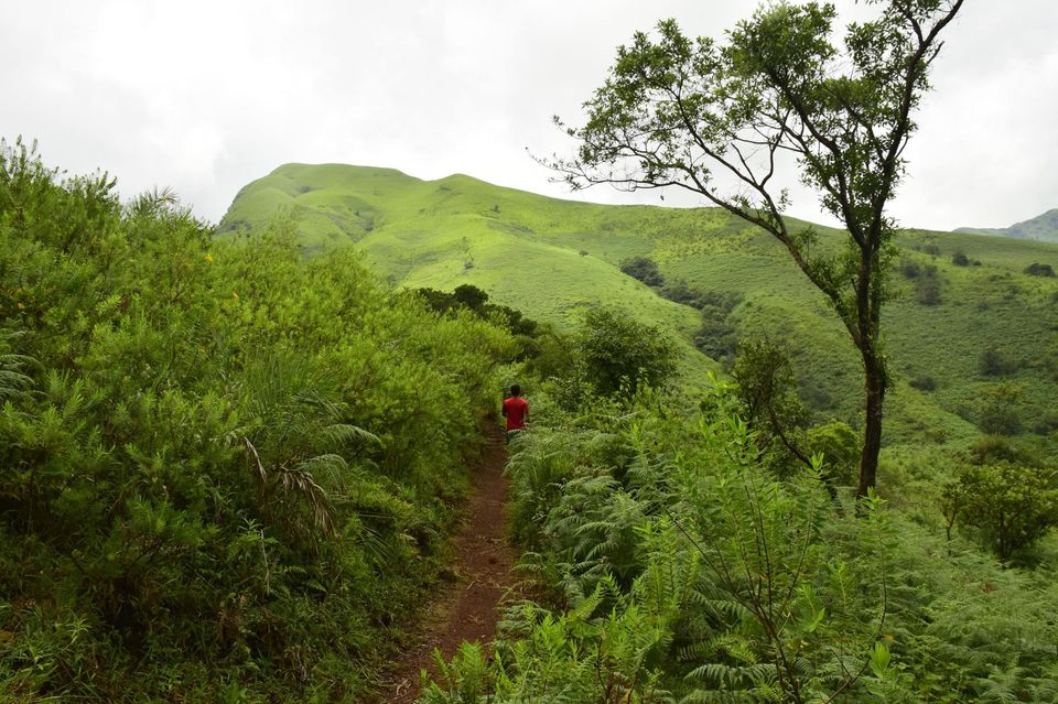 Photo of Trek to KudreMukh Peak 23/69 by Manju Nath