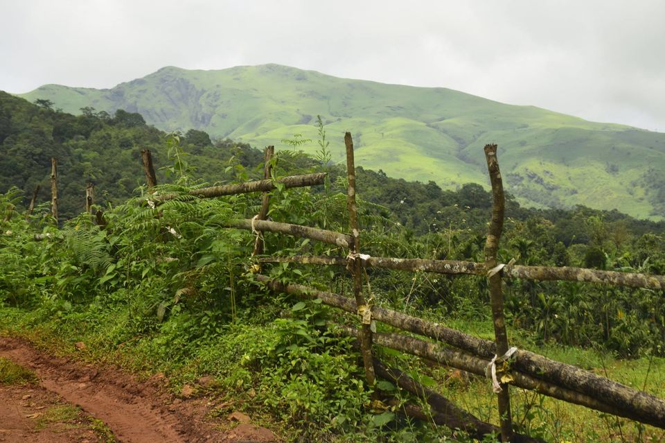 Photo of Trek to KudreMukh Peak 14/69 by Manju Nath