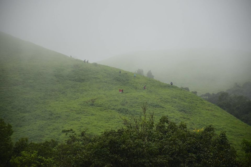 Photo of Trek to KudreMukh Peak 44/69 by Manju Nath