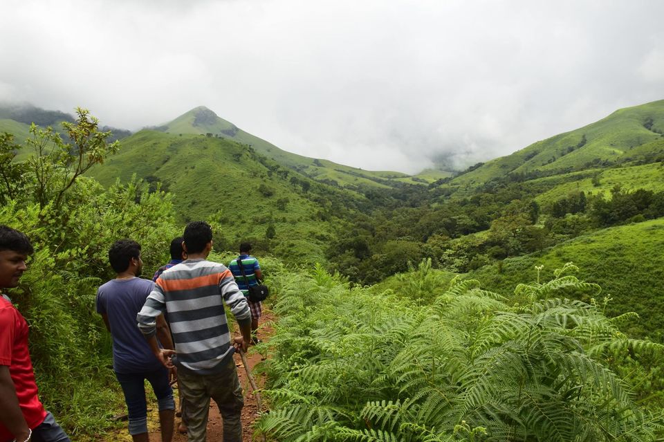 Photo of Trek to KudreMukh Peak 29/69 by Manju Nath