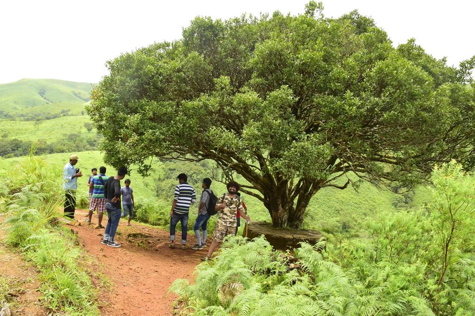 Photo of Trek to KudreMukh Peak 7/69 by Manju Nath