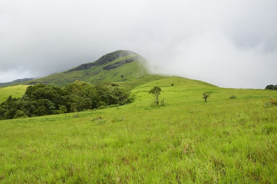 Photo of Trek to KudreMukh Peak 42/69 by Manju Nath
