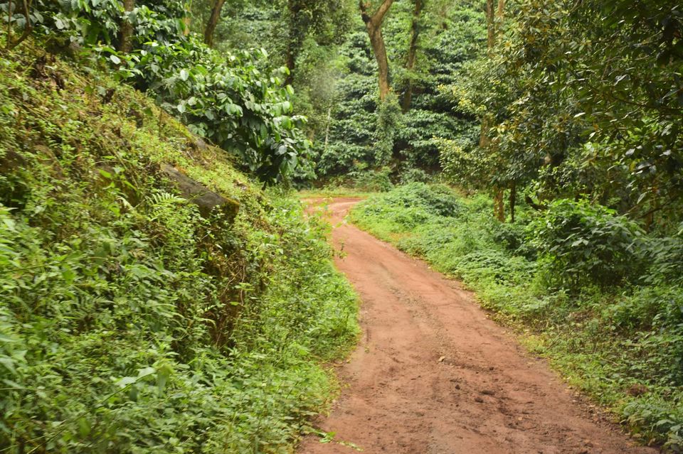 Photo of Trek to KudreMukh Peak 11/69 by Manju Nath