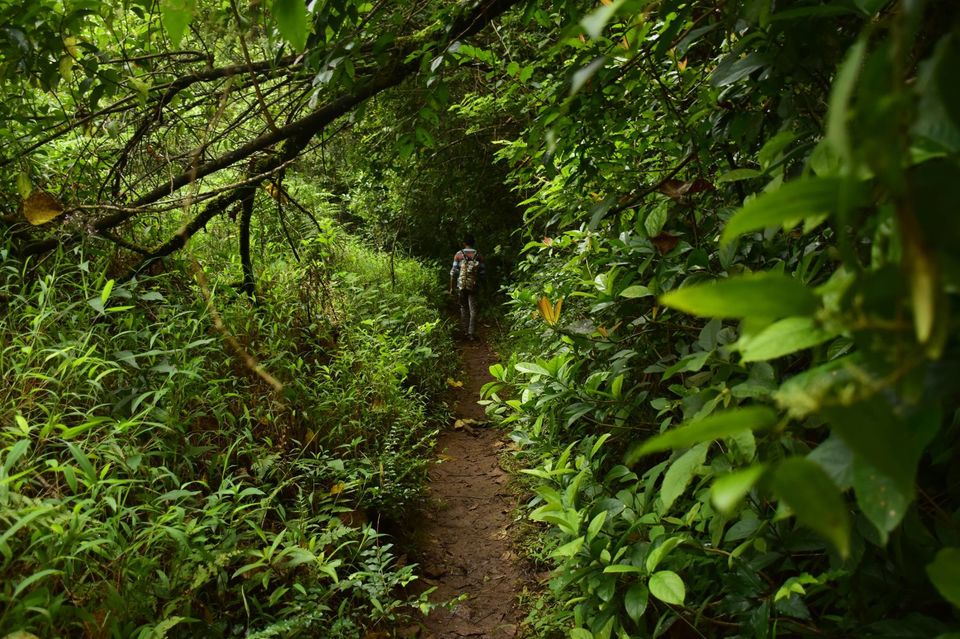 Photo of Trek to KudreMukh Peak 39/69 by Manju Nath