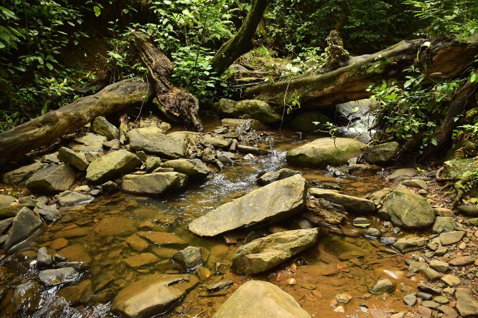 Photo of Trek to KudreMukh Peak 21/69 by Manju Nath