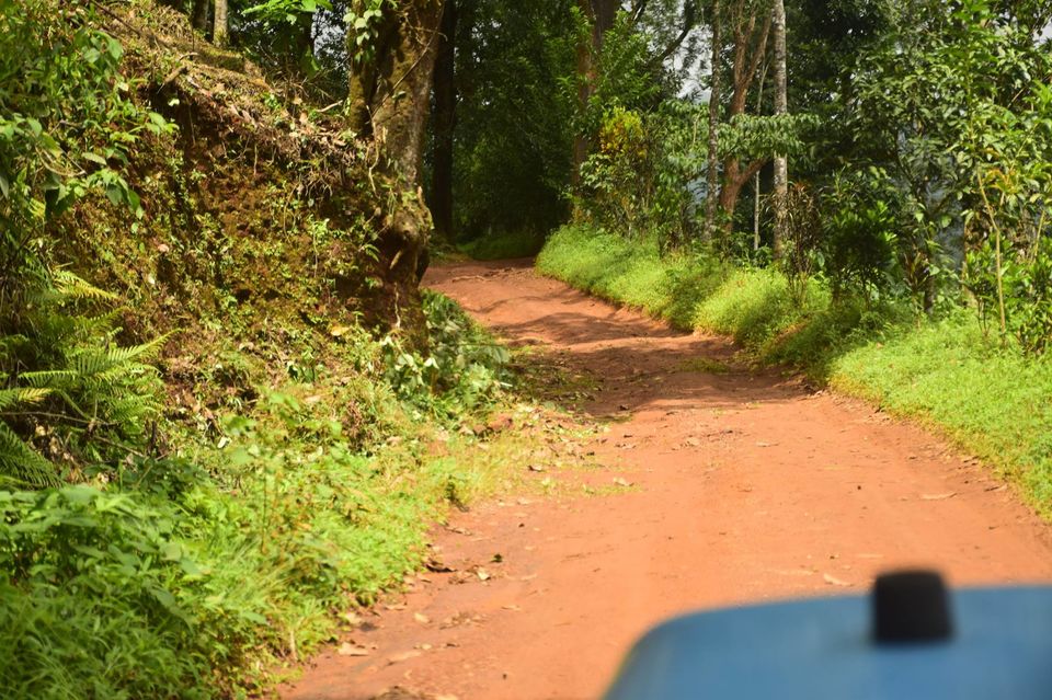 Photo of Trek to KudreMukh Peak 9/69 by Manju Nath