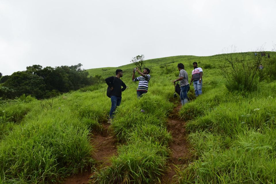 Photo of Trek to KudreMukh Peak 49/69 by Manju Nath