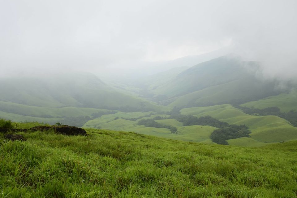Photo of Trek to KudreMukh Peak 51/69 by Manju Nath