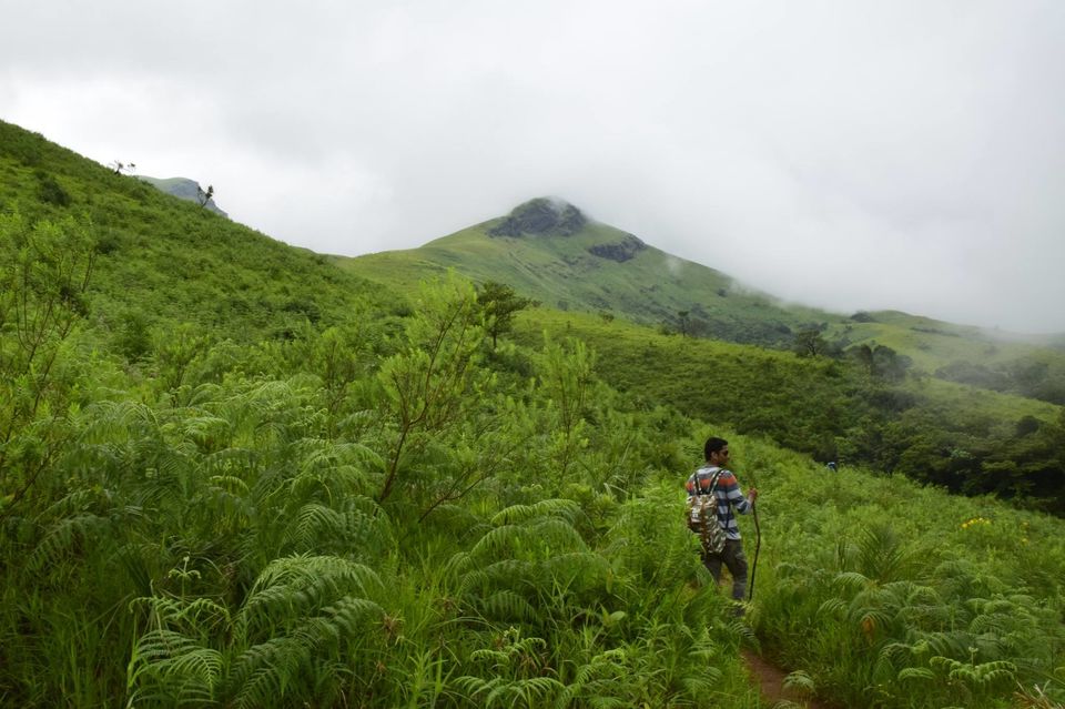 Photo of Trek to KudreMukh Peak 38/69 by Manju Nath