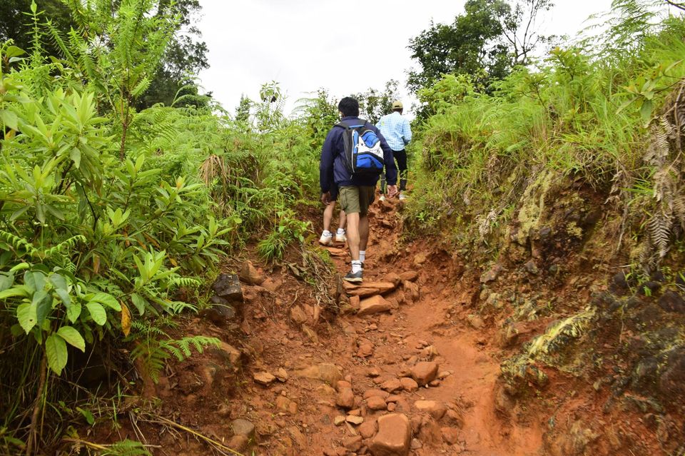 Photo of Trek to KudreMukh Peak 19/69 by Manju Nath