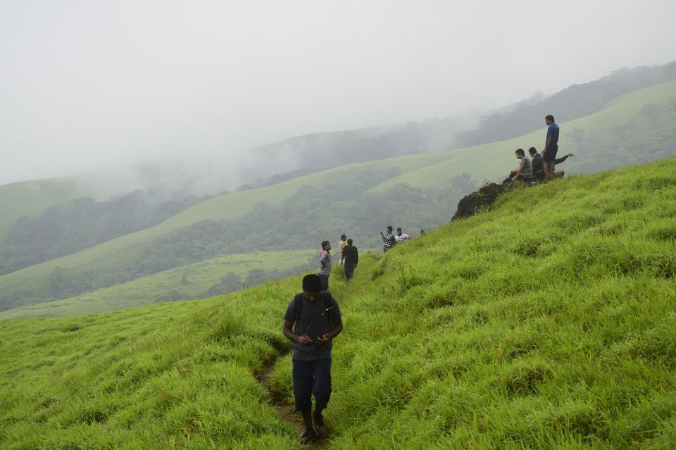 Photo of Trek to KudreMukh Peak 5/69 by Manju Nath