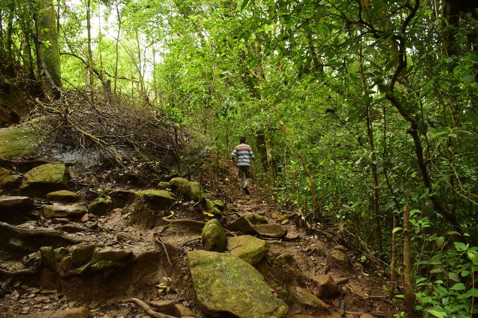 Photo of Trek to KudreMukh Peak 36/69 by Manju Nath