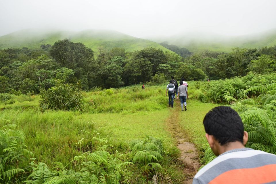 Photo of Trek to KudreMukh Peak 45/69 by Manju Nath
