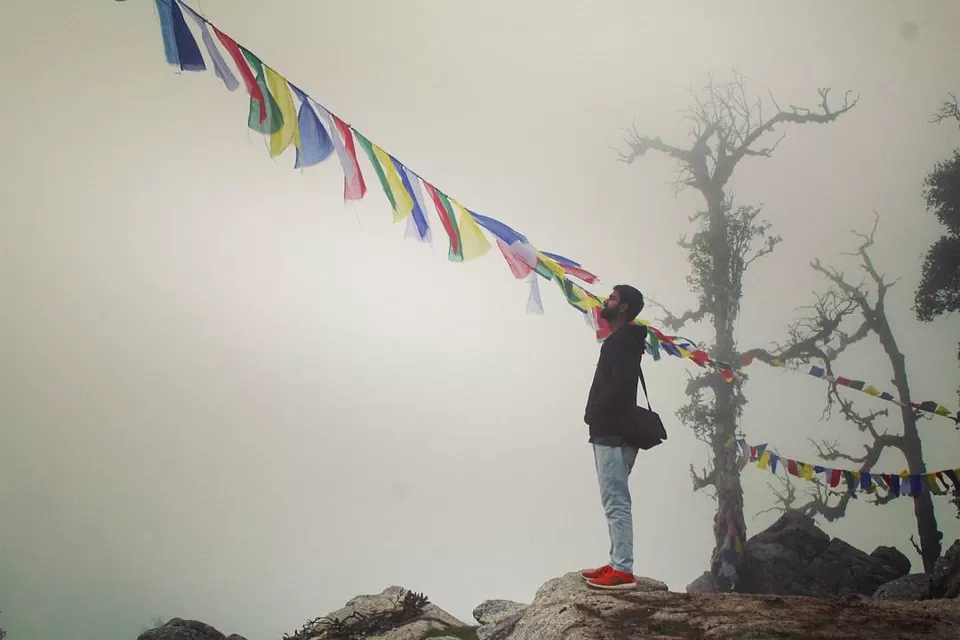 Photo of Trail to SnowLine Cafe, Trail to SnowLine Cafe, Dharamshala, Himachal Pradesh 176216, India by Mayank Goyal