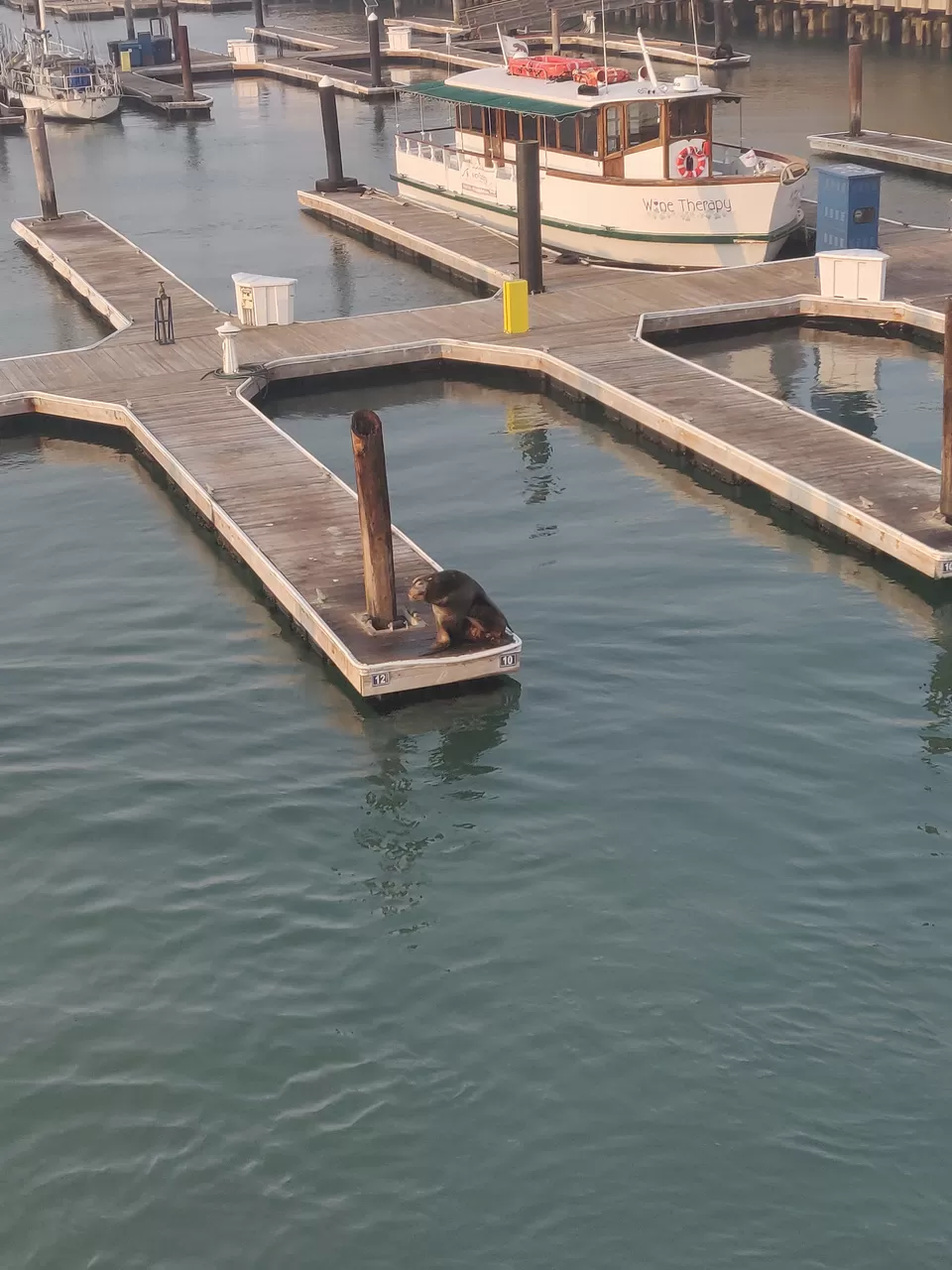 Photo of PIER 39, The Embarcadero, San Francisco, CA, USA by The Saiyan Prince