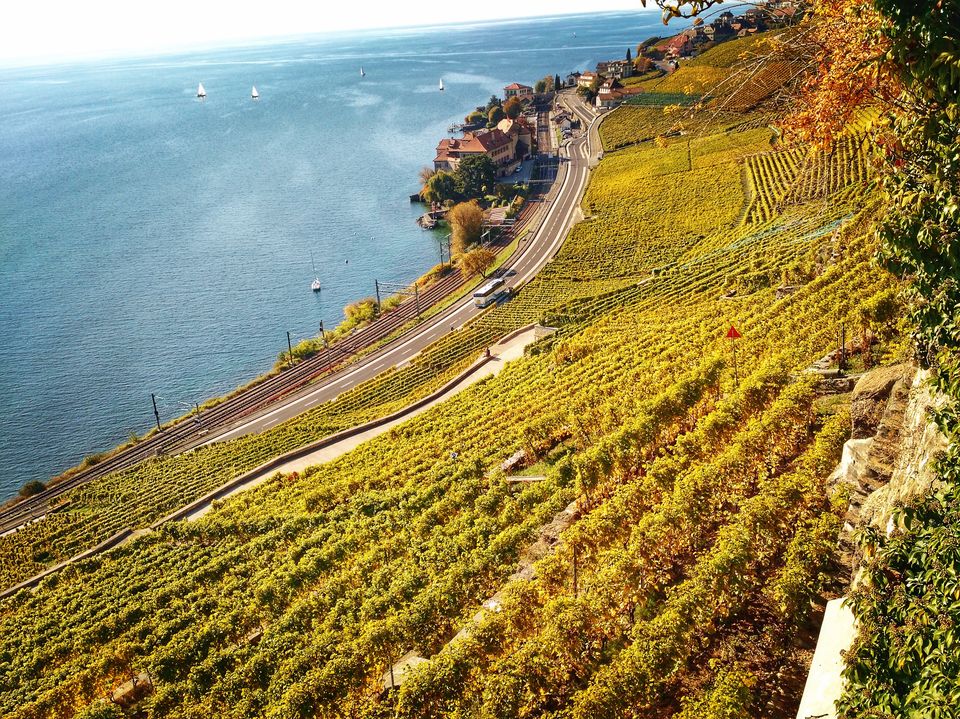 Photo of Absolute Must Visits in Switzerland 9/16 by Abinaya Mylsamy
