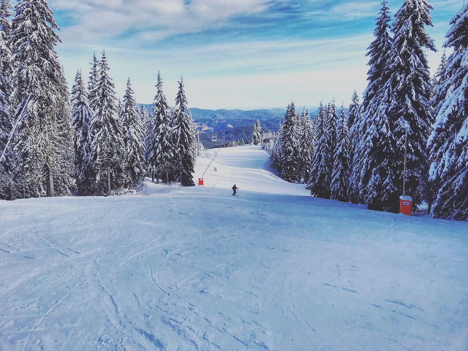 Photo of Absolute Must Visits in Switzerland 11/16 by Abinaya Mylsamy