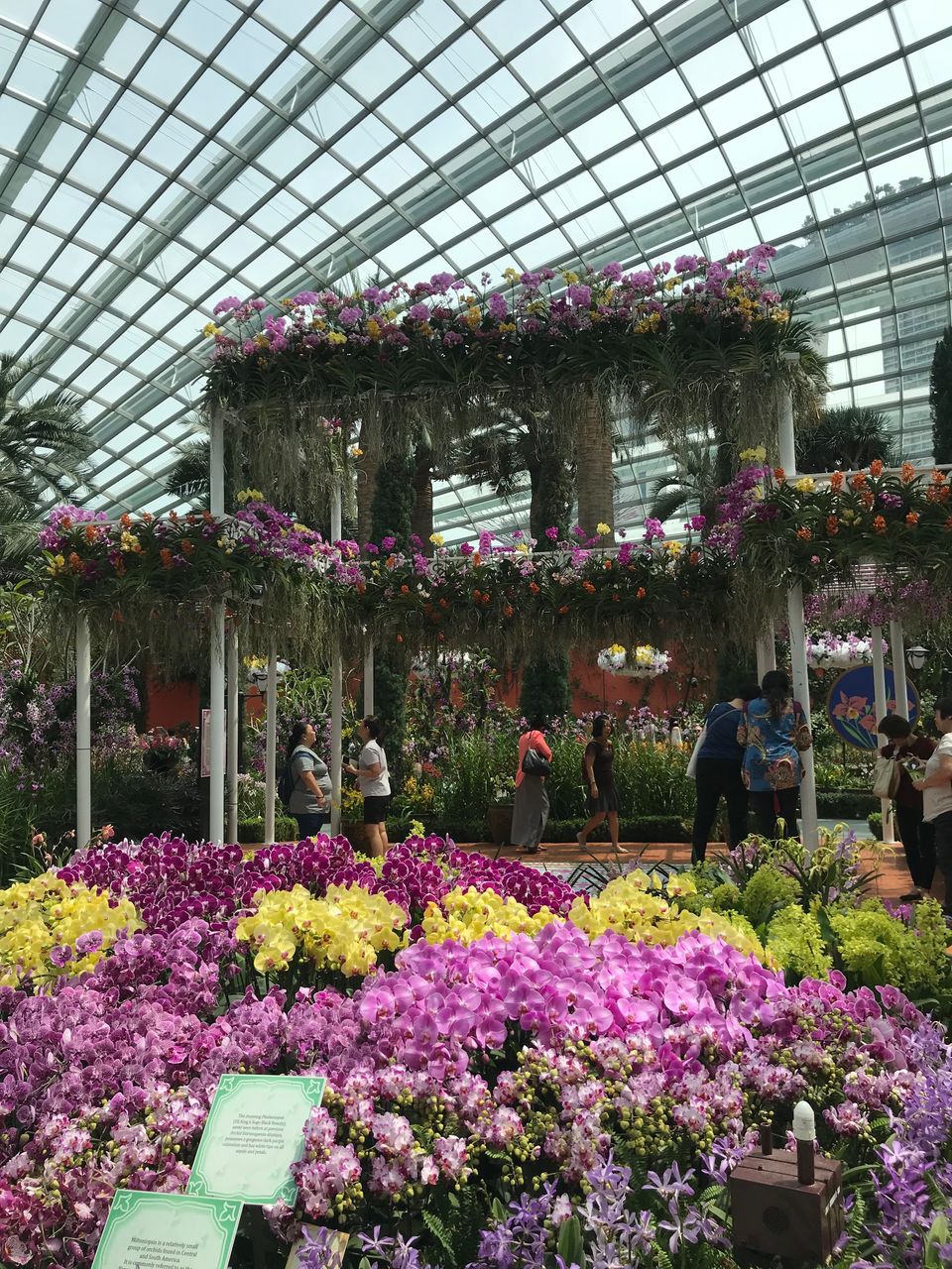 Photo of Malaysia and Singapore in 9 days - Complete itinerary 24/30 by Abinaya Mylsamy