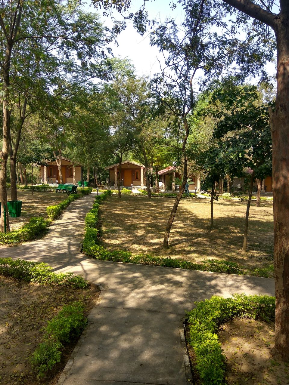 Photo of Kikar Lodge- A hidden gem near Chandigarh #travelwithtripoto #TripotoPrompts by Deepak Kashyap