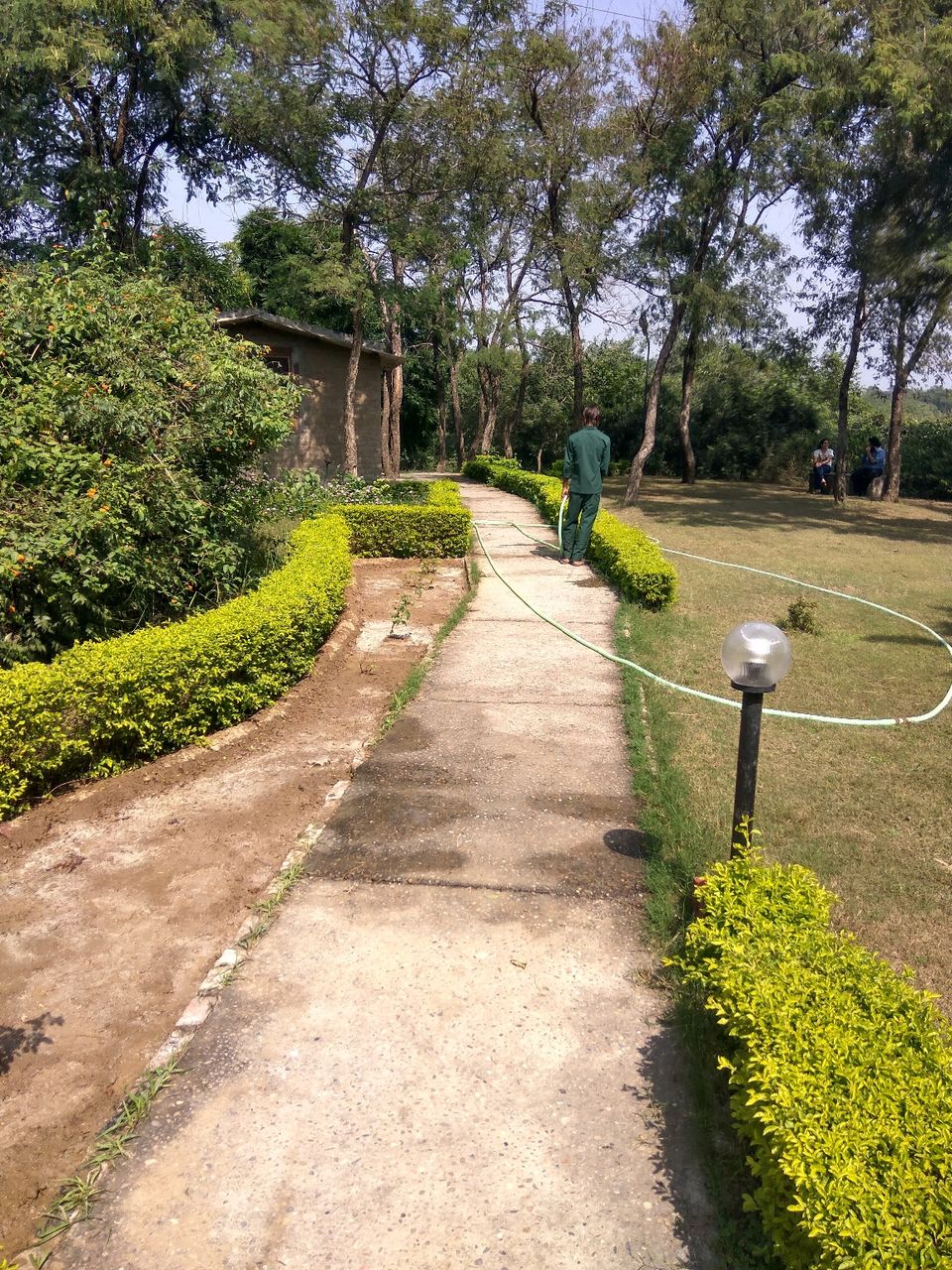 Photo of Kikar Lodge- A hidden gem near Chandigarh #travelwithtripoto #TripotoPrompts by Deepak Kashyap