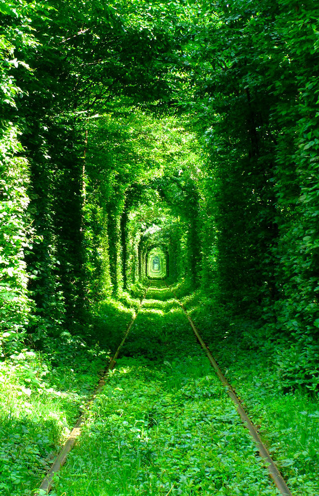 5 Most Beautiful Tunnels of the World travelwithtripoto tunnels ...