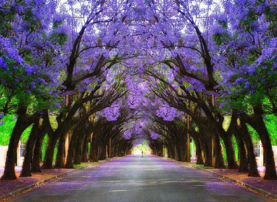 Photo of South Africa by Deepak Kashyap