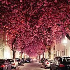 Photo of Germany by Deepak Kashyap
