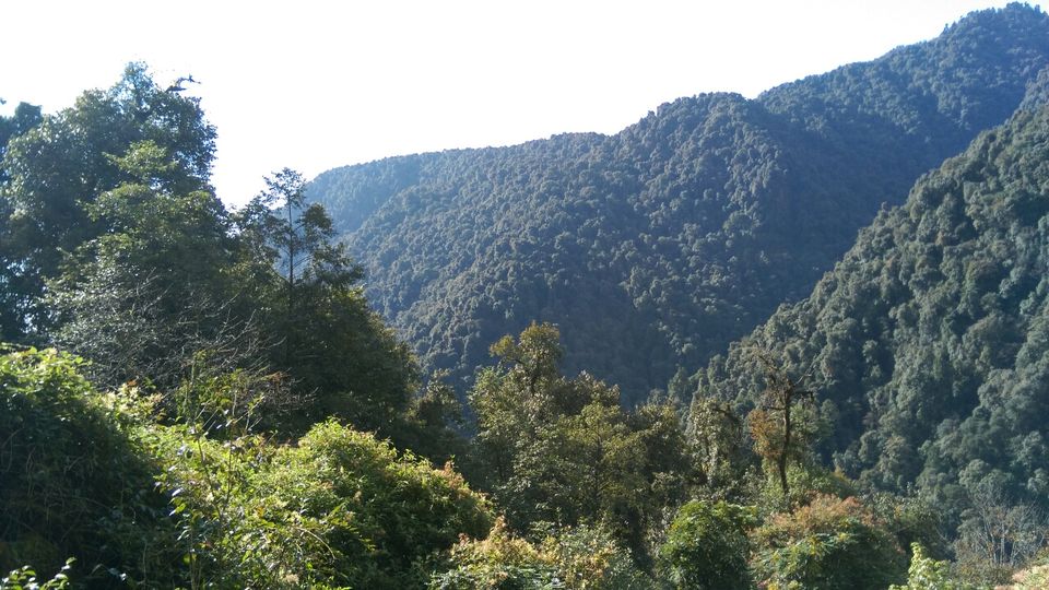 Photo of Tshoka, Sikkim, India by Kshitij Guglani