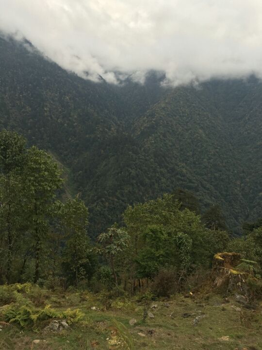 Photo of Tshoka, Sikkim, India by Kshitij Guglani