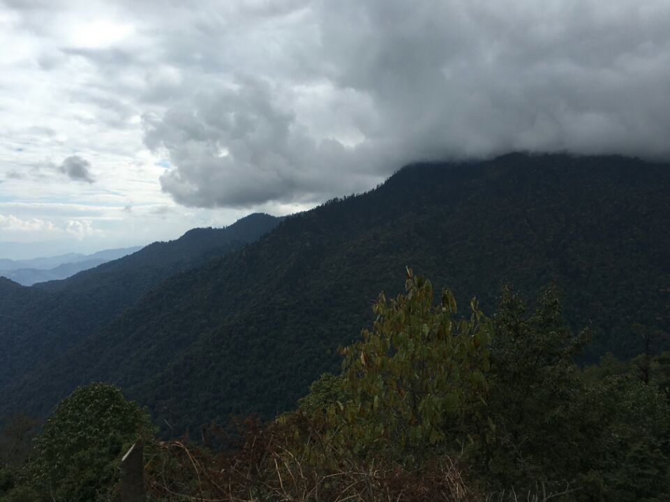 Photo of Tshoka, Sikkim, India by Kshitij Guglani