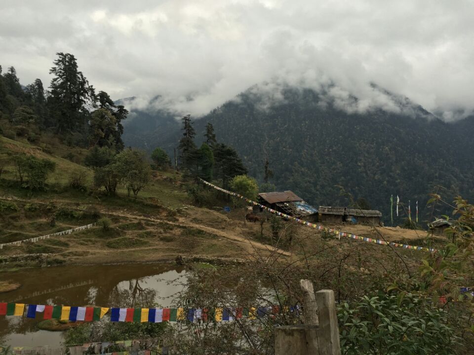 Photo of Tshoka, Sikkim, India by Kshitij Guglani