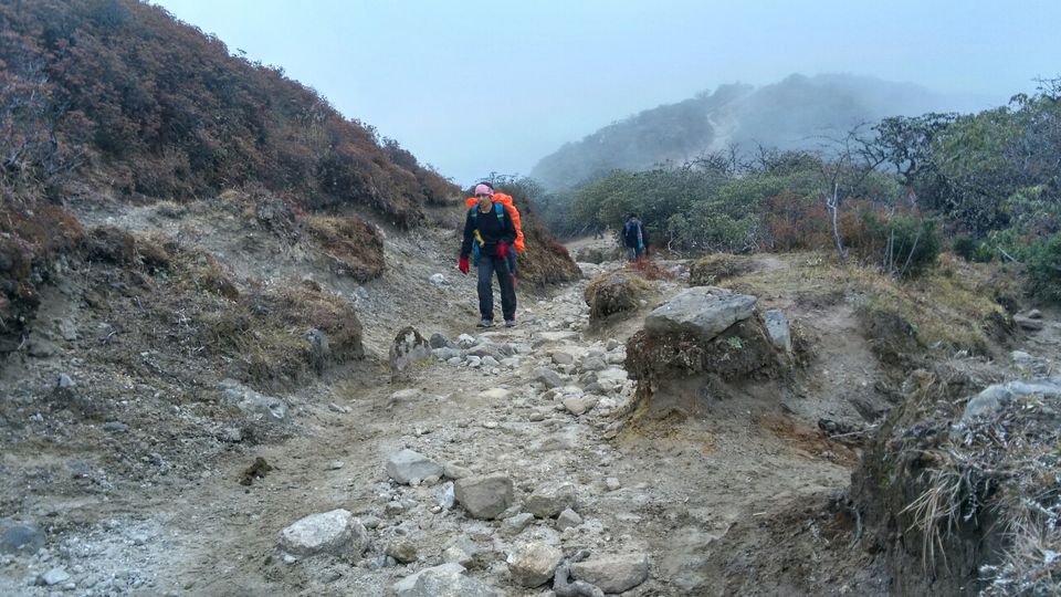 Photo of Dzongri La, West Sikkim, Sikkim, India by Kshitij Guglani