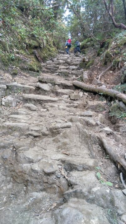 Photo of Dzongri La, West Sikkim, Sikkim, India by Kshitij Guglani