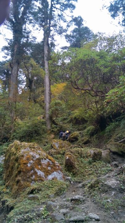 Photo of Dzongri La, West Sikkim, Sikkim, India by Kshitij Guglani
