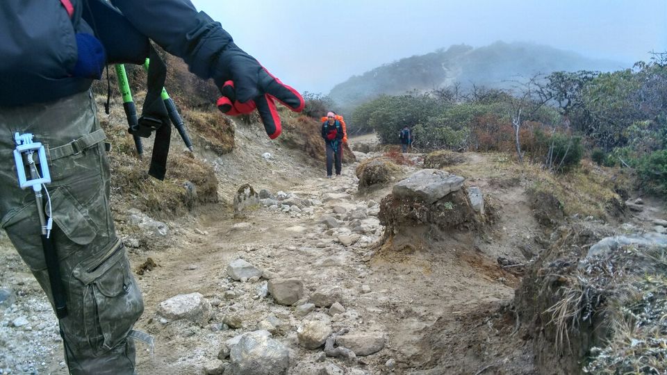 Photo of Dzongri La, West Sikkim, Sikkim, India by Kshitij Guglani