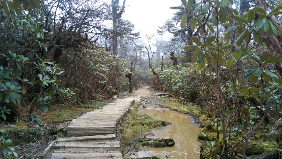 Photo of Dzongri La, West Sikkim, Sikkim, India by Kshitij Guglani
