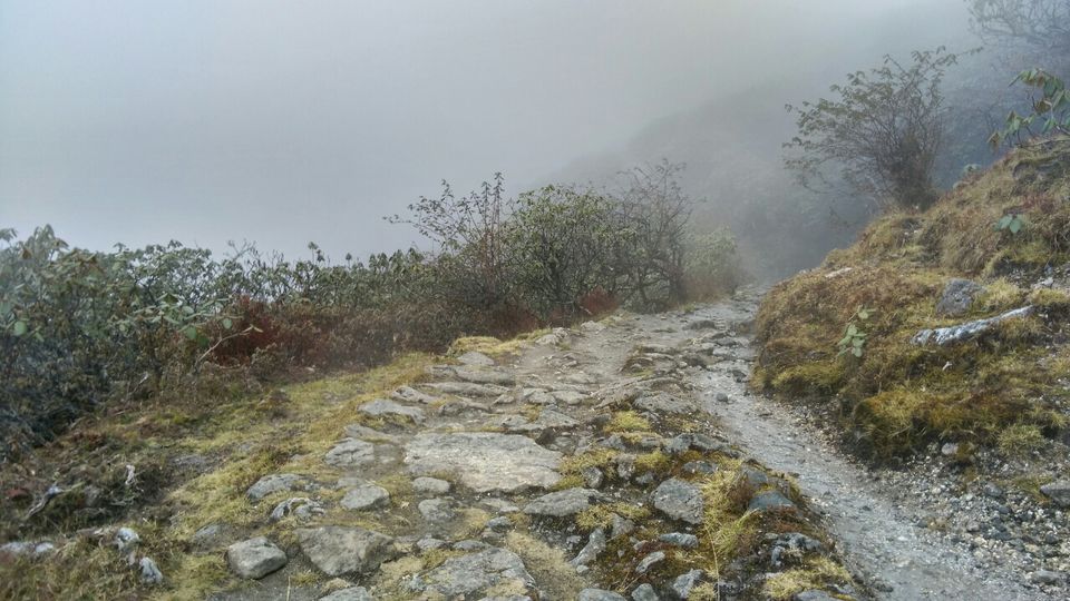Photo of Dzongri La, West Sikkim, Sikkim, India by Kshitij Guglani