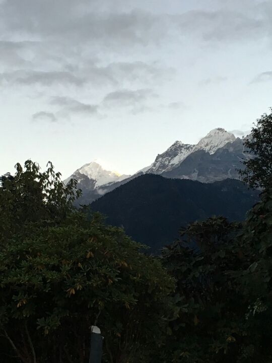 Photo of Dzongri La, West Sikkim, Sikkim, India by Kshitij Guglani