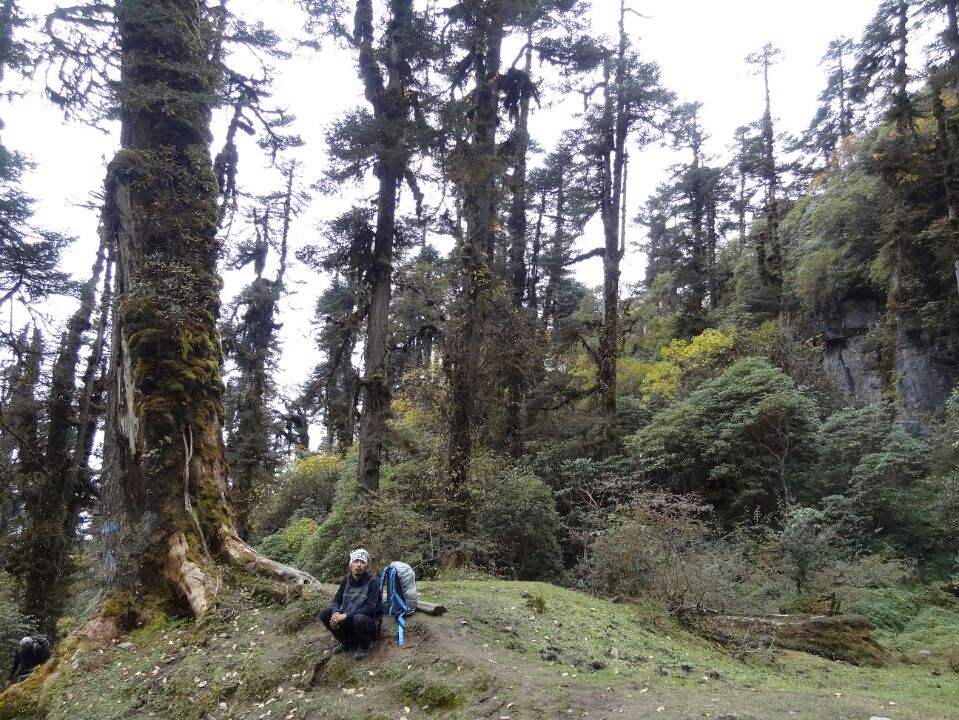Photo of Dzongri La, West Sikkim, Sikkim, India by Kshitij Guglani