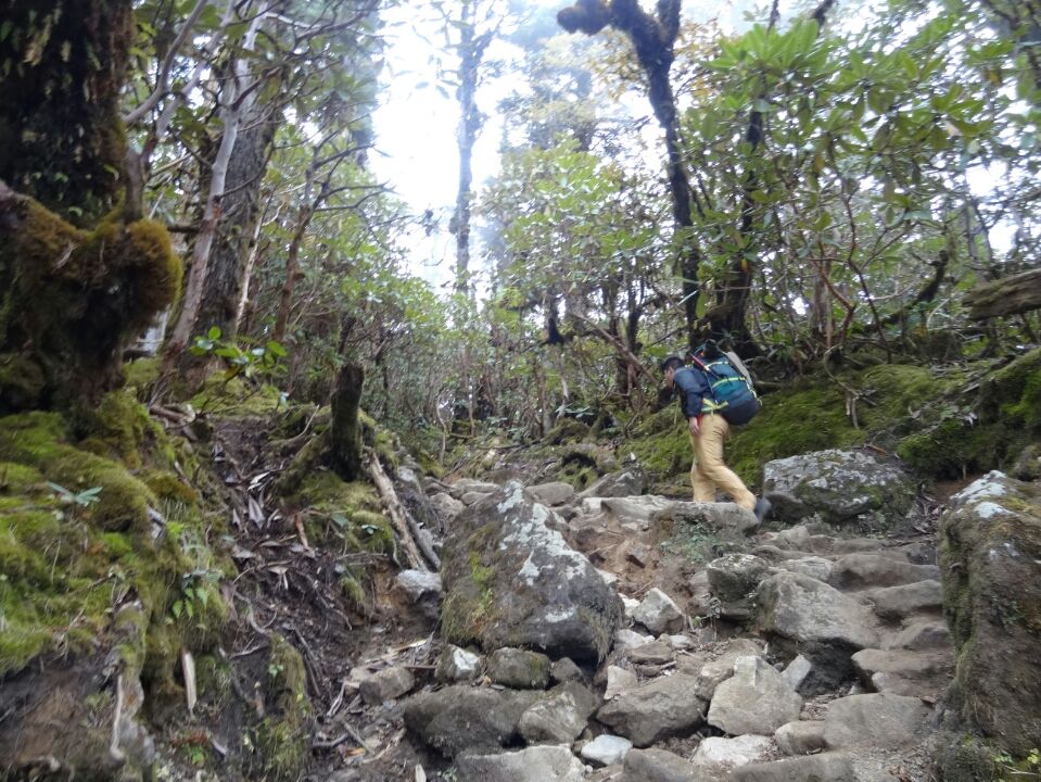 Photo of Dzongri La, West Sikkim, Sikkim, India by Kshitij Guglani