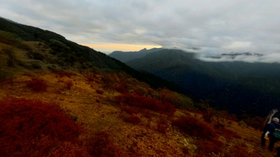 Photo of Dzongri La, West Sikkim, Sikkim, India by Kshitij Guglani