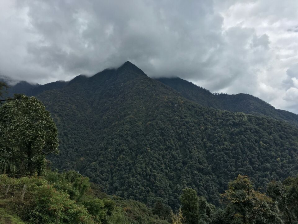 Photo of Dzongri La, West Sikkim, Sikkim, India by Kshitij Guglani