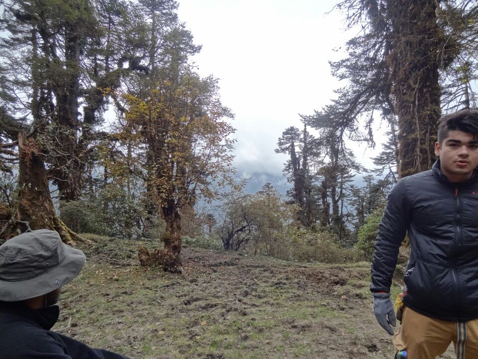 Photo of Dzongri La, West Sikkim, Sikkim, India by Kshitij Guglani